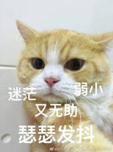 发抖